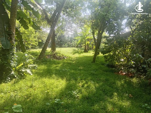 Land for Sale in Ethul Kotte - Kotte Sri Jayawardenapura Angampitiya Road 36 Perch Excellent Residential Land for Sale
