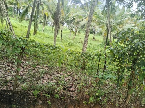 Commercial Property for Sale in Malabe - Malabe-Kothalawala Near the SLIIT 02 Acres of Commercial Land with a 10,000 sq.ft B…