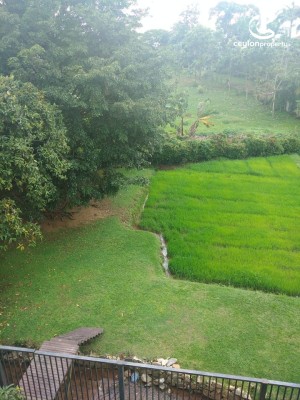 House for Sale in Thalawathugoda - Thalawathugoda, Hokandara Road, Luxury House on 45 Perches of Land for Immediate Sale
