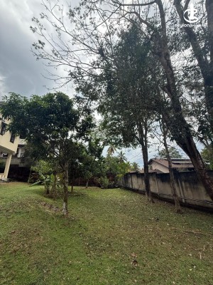 House for Rent in Malabe - Malabe Thalahena 04 Bed Room Large 02 Storied House for Rent