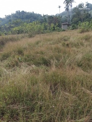 Land for Sale in Ingiriya - Ingiriya - Handapangoda 82+ Perches of Land for Sale