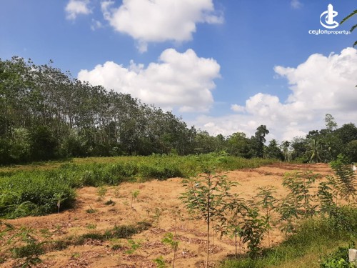 Land for Sale in Avissawella - 3 Acres of Flate Land for Sale in Avissawella - Colombo Line
