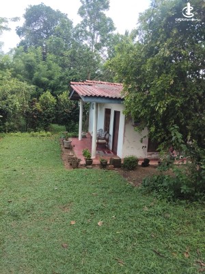 Land for Sale in Kottawa - Kottawa - Makumbura 35 Perches of Land with a liveable House for Sale