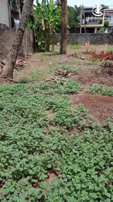 Land for Sale in Mount Lavinia - Mount Lavinia - Temple Road Bare land for Sale