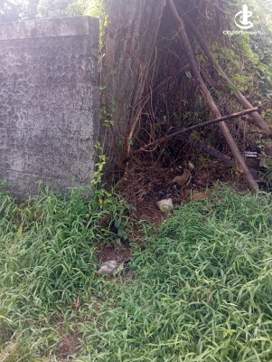 Land for Sale in Boralesgamuwa - Boralesgamuwa Off Gangarama Road, 11 Perch Rectangular Block of Land for Immediate Sale