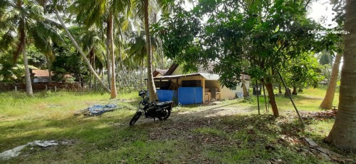 Land for Sale in Kalpitiya - Kalpitiya 03 Acres of Profitable Agricultural Land for Immediate Sale