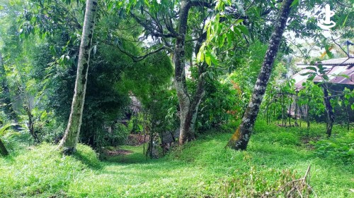 Land for Sale in Polgasowita - Ref(p-shani-927) Property For Sale – Polgasowita