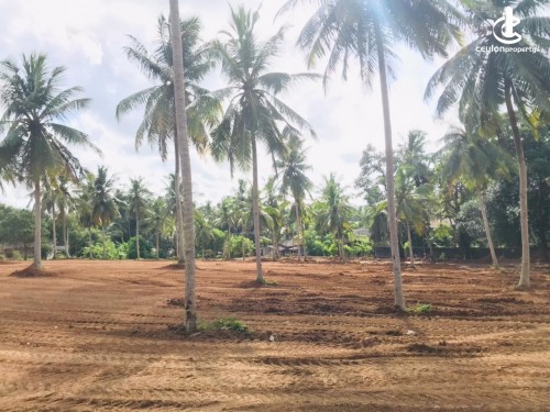 Land for Sale in Wadduwa - Land for Sale in Wadduwa