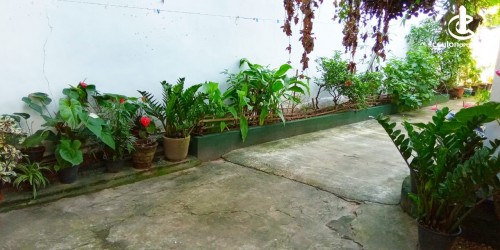 Land for Sale in Colombo 5 (Narahenpita,Havelock Town,Kirulapona North) - Land for Sale in Kirulapona - Colombo 5