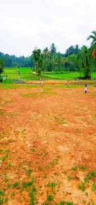 Land for Sale in Kaduwela - Land for Sale in Kaduwela