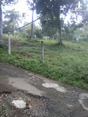 Land for Sale in Pannimulla Panagoda - Land for Sale in Godagama