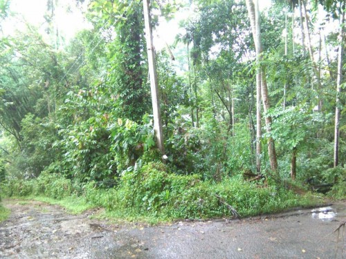 Land for Sale in Katugastota - Land for Sale in Katugastota