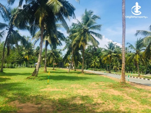 Land for Sale in Avissawella - Land for Sale in Avissawella