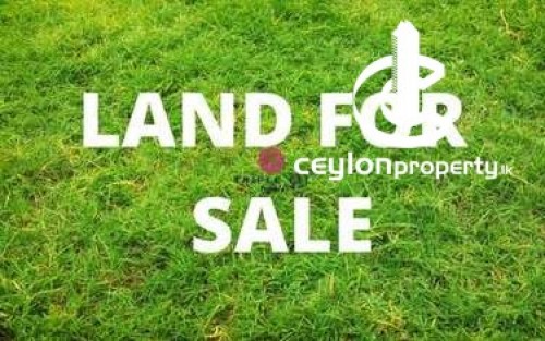 Land for Sale in Colombo 6 (Wellawatta,Pamankada,Kirulapona South) - 41 Perches Valuable Land for sale in Kirulapona, Colomb…