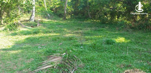 Land for Sale in Negombo - 15 Perches Valuable Land For Sale in Katana, Katiyala Rd