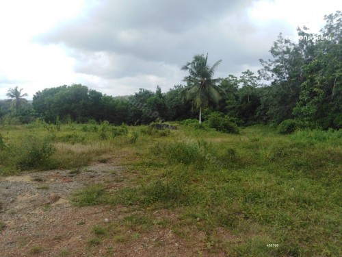 Land for Sale in Colombo 5 (Narahenpita,Havelock Town,Kirulapona North) - 60 Perches Valuable Land For Sale in Narahenpita C…