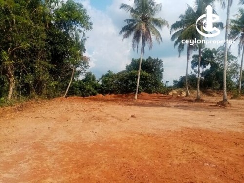 Land for Sale in Hanwella - 148 Perches Valuable Land For Sale in Artigala, Hanwella