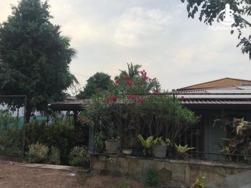 House for Rent in Piliyandala - Modern House for Rent in Piliyandala