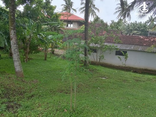 Land for Sale in Negombo - 55 Perches Land with house For Sale in Negombo