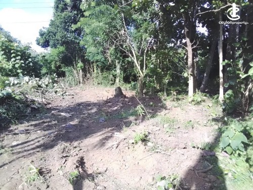 Land for Sale in Negombo - Land For sale in Negombo, Kochchikade