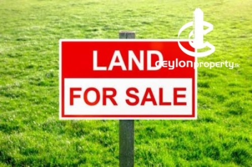 Land for Sale in Negombo - 50 Perches Land For sale in Negombo, Dungalpitiya