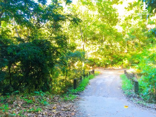 Land for Sale in Bulathkohupitiya - 1 Acre of Valuable Land for Sale in Bulathkohupitiya,