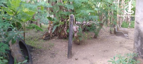 Land for Sale in Kochchikade - Land for Sale in Kochchikade