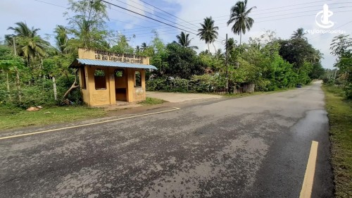 Land for Sale in Beliatta - Land for Sale in Beliatta