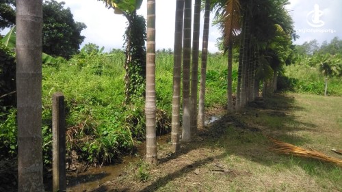 Land for Sale in Boralesgamuwa - Land for Sale in Borelasgamuwa