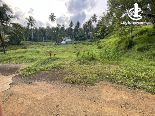 Land for Sale in Watareka - Land for Sale in Watareka
