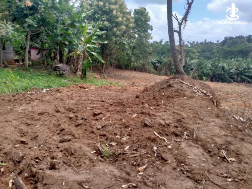 Land for Sale in Kotadeniyawa - Land for sale in Kotadeniyawa / Nalla