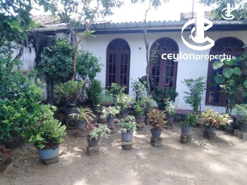 House for Sale in Colombo 8 (Borella) - House for sale in colombo 8