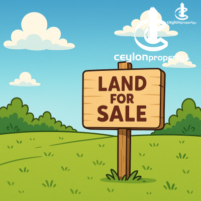 Land for Sale in Angoda - Land For Sale In Angoda