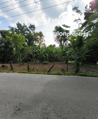 Land for Sale in Gampaha - Land for sale in Gampaha