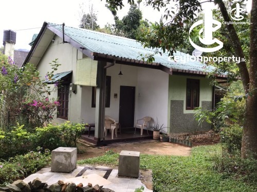 House for Sale in Talawakele - House for sale in Talawakele
