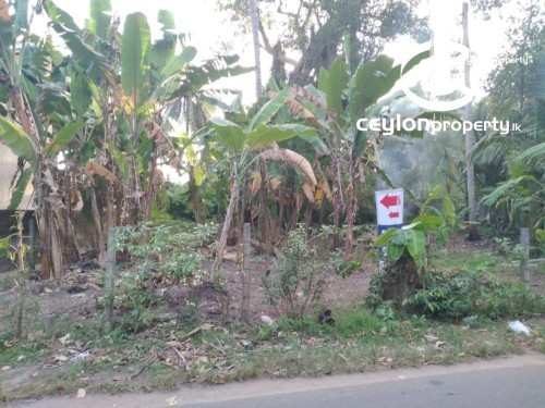 Land for Sale in Wadduwa - Land for Sale in Wadduwa