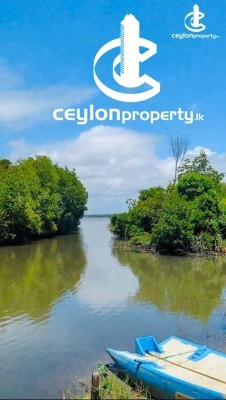 Land for Sale in Ja-Ela - Land for sale in Ja Ela
