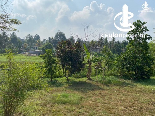Land for Sale in Pannipitiya - Land for sale in Pannipitiya