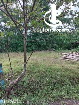 Land for Sale in Homagama - Land for sale in Homagama