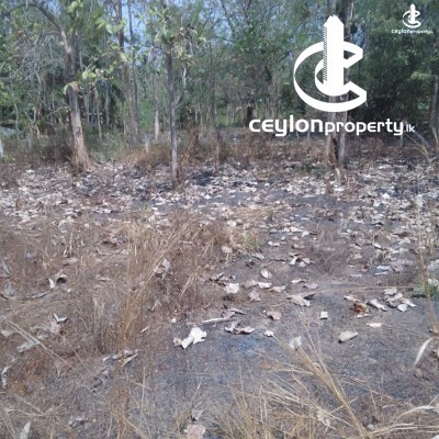 Land for Sale in Kurunegala - Land for sale in Kurunegala