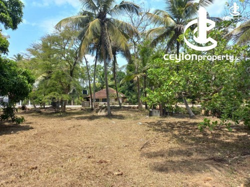 Land for Sale in Kuliyapitiya - Land for sale in Kuliyapitiya
