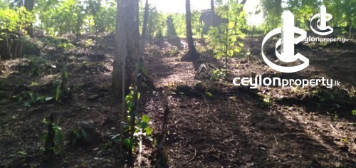 Land for Sale in Balangoda - Land for sale in Balangoda