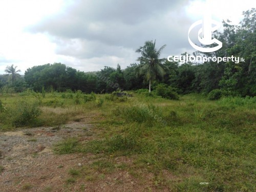 Land for Sale in Colombo 5 (Narahenpita,Havelock Town,Kirulapona North) - Land for sale in Colombo 5