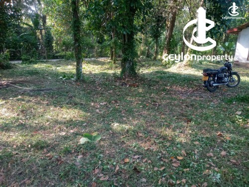 Land for Sale in Gampaha - Land for sale in Gampaha