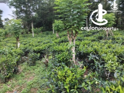 Land for Sale in Galle - Land for sale in Galle