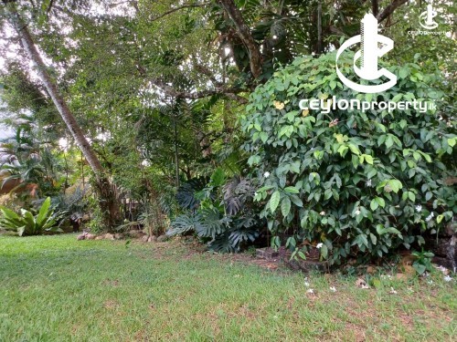 Land for Sale in Dehiwala - Land for sale in Dehiwala