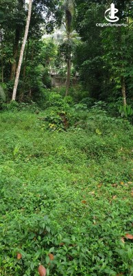 Land for Sale in Seeduwa - Land For Sale In Seeduwa