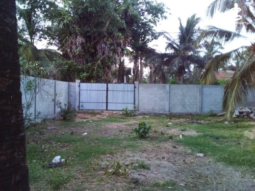 Land for Sale in Thannamunai - Land For Sale in Thannamunai