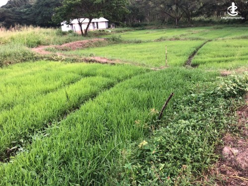 House for Sale in Kurunegala - House For Sale in Kurunegala