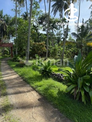 Land for Sale in Galle - Land For Sale in Unawatuna